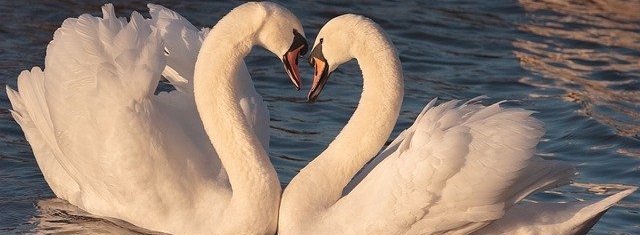 Faire un Top 10 –&nbsp;Romances