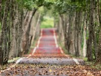 Faire le bilan des objectifs 2024 et en fixer de nouveaux pour&nbsp;2025