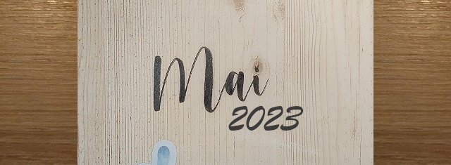 Faire un Bullet Journal – Mise en page Mai&nbsp;2023