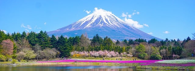 Essayer d&rsquo;apprendre quelques notions de&nbsp;Japonais