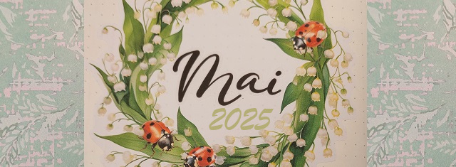 Faire un Bullet Journal – Mise en page Mai&nbsp;2025