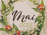 Faire un Bullet Journal – Mise en page Mai&nbsp;2025