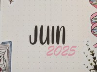 Faire un Bullet Journal – Mise en page Juin&nbsp;2025